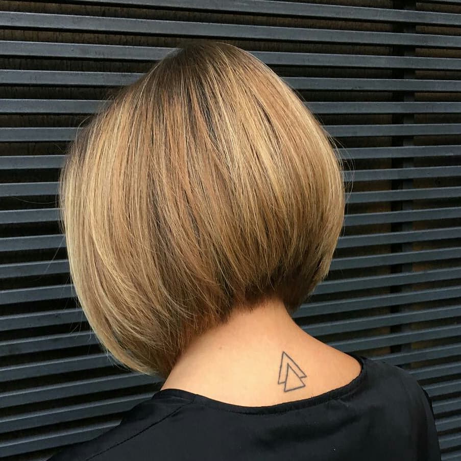 Bob visto da dietro - @_nicolasrodrigues_