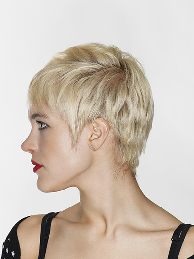 Pixie cortissimo - @Shutterstock