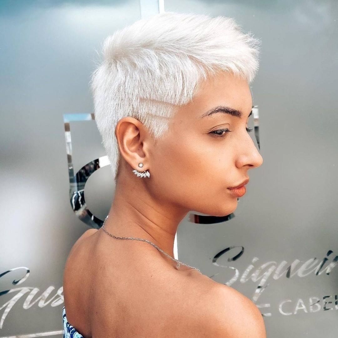 Pixie bianco visto di profilo - Instagram: @graccicorrea