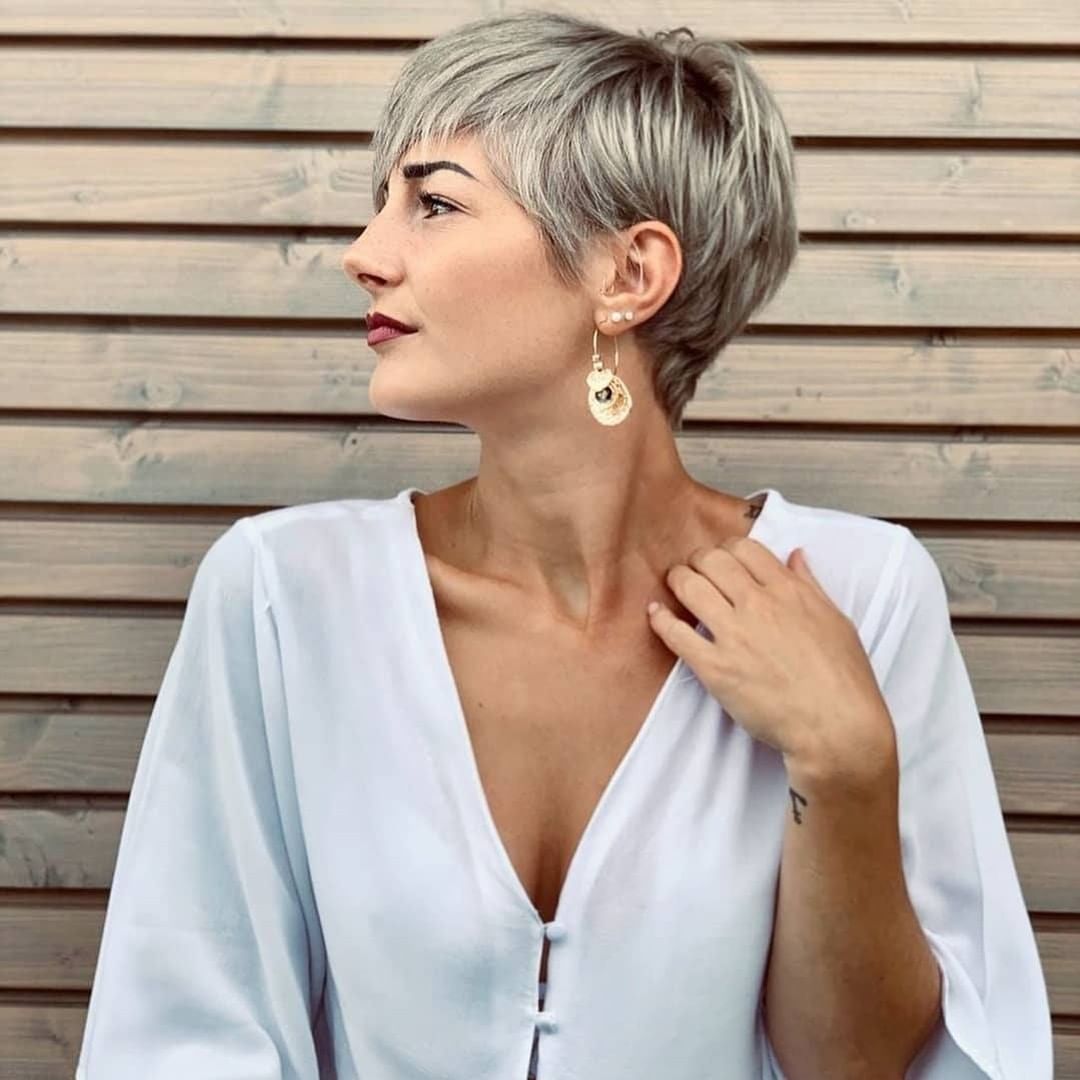 Pixie grigiastro estivo