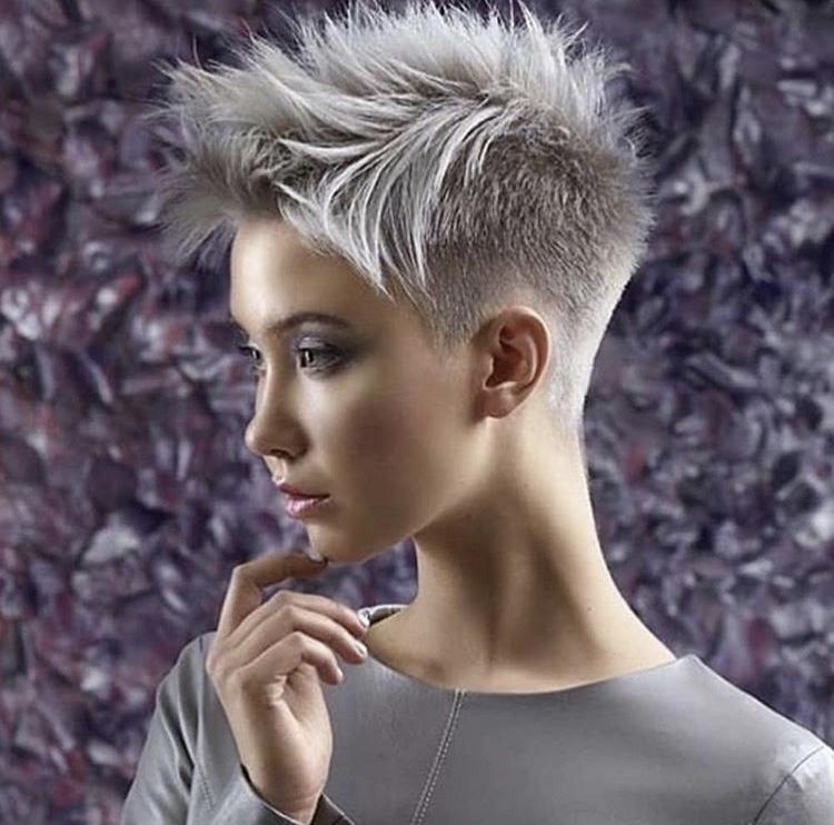 Pixie grigio con cresta - Instagram: @kratkovlasky.cz